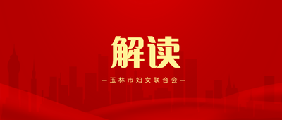 刑事案件三维辩护体系实操手册——从接案到结案的全流程标准化作战指南